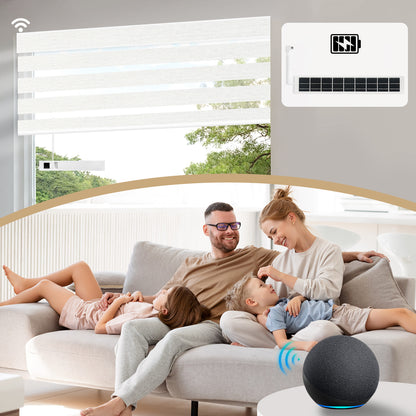 Sunelo Motorized Zebra Shades 60%/75% Blackout - Monet